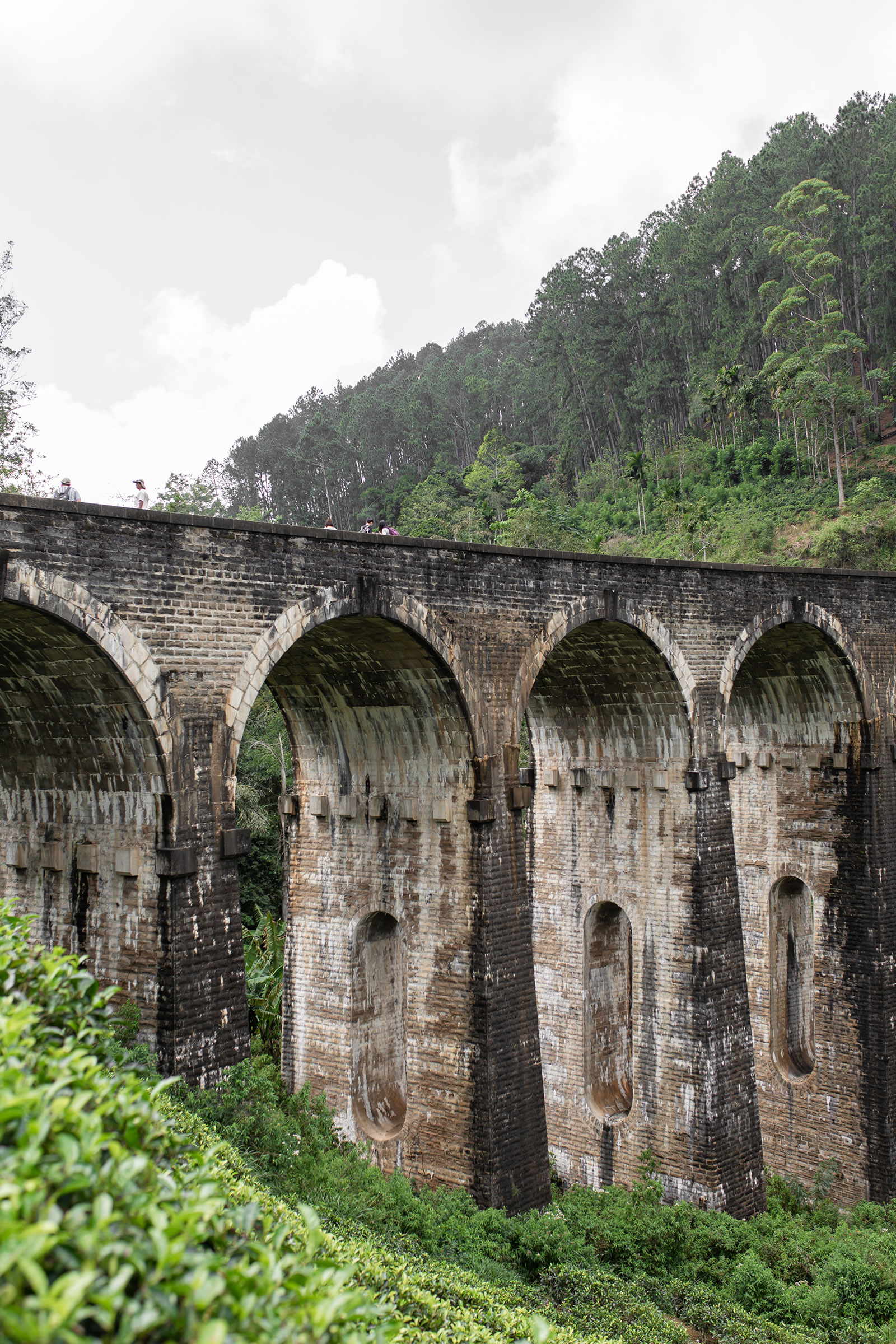 The famous nine-arch bridge of the railway in the jungle in sri lanka
