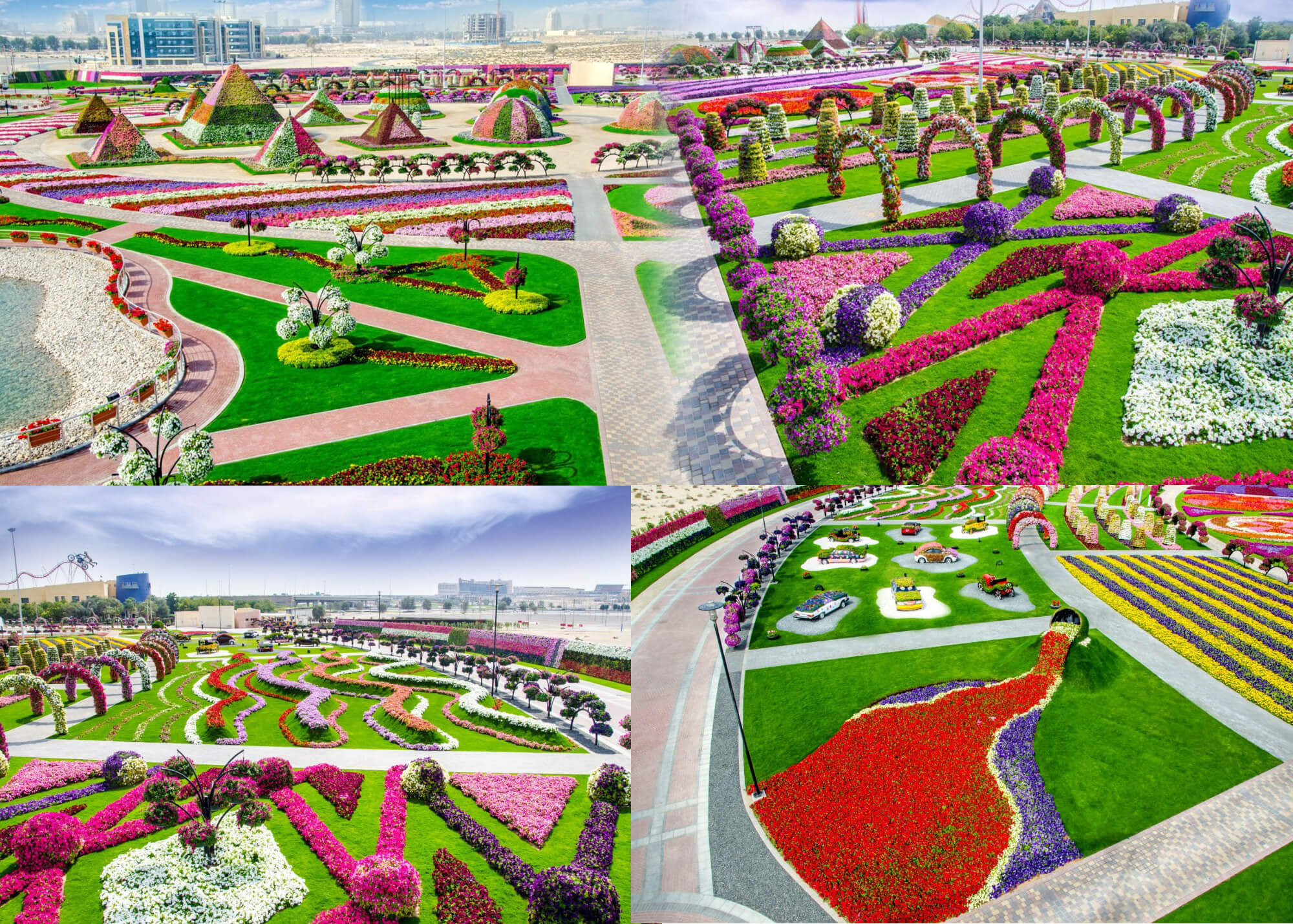 You are currently viewing Know these before You Visit the Dubai Miracle Garden